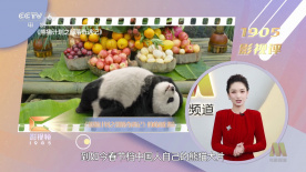 亚洲欧美一区二区三区图片